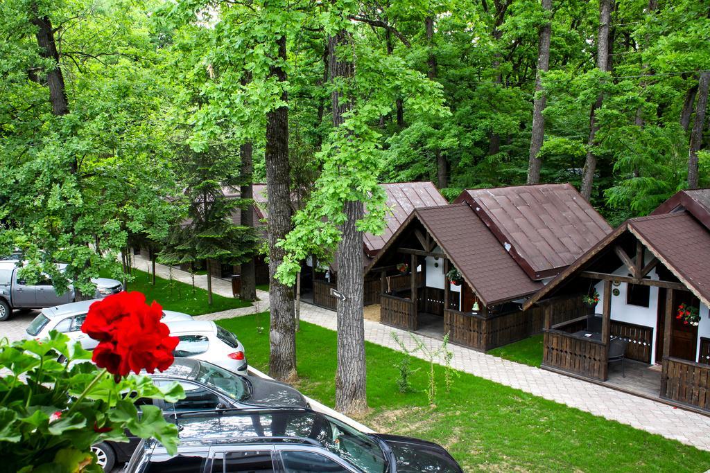 Cornul Vanatorului Bungalows Pitesti Exterior photo