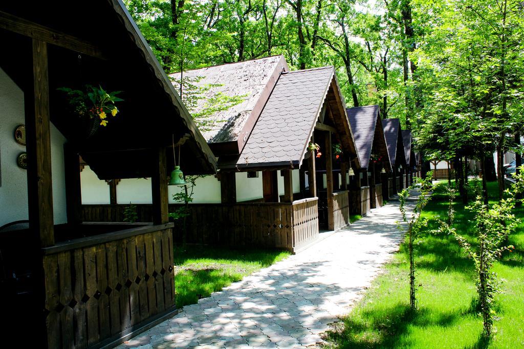 Cornul Vanatorului Bungalows Pitesti Exterior photo